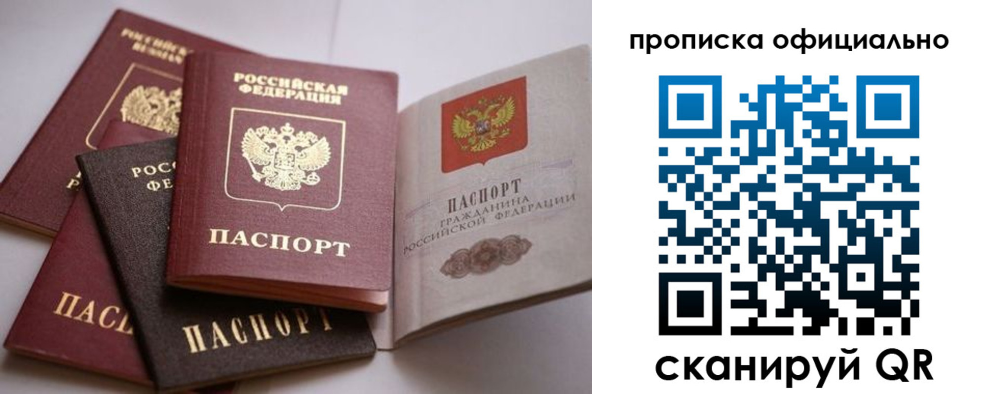 пропишу в квартире в Оленегорске